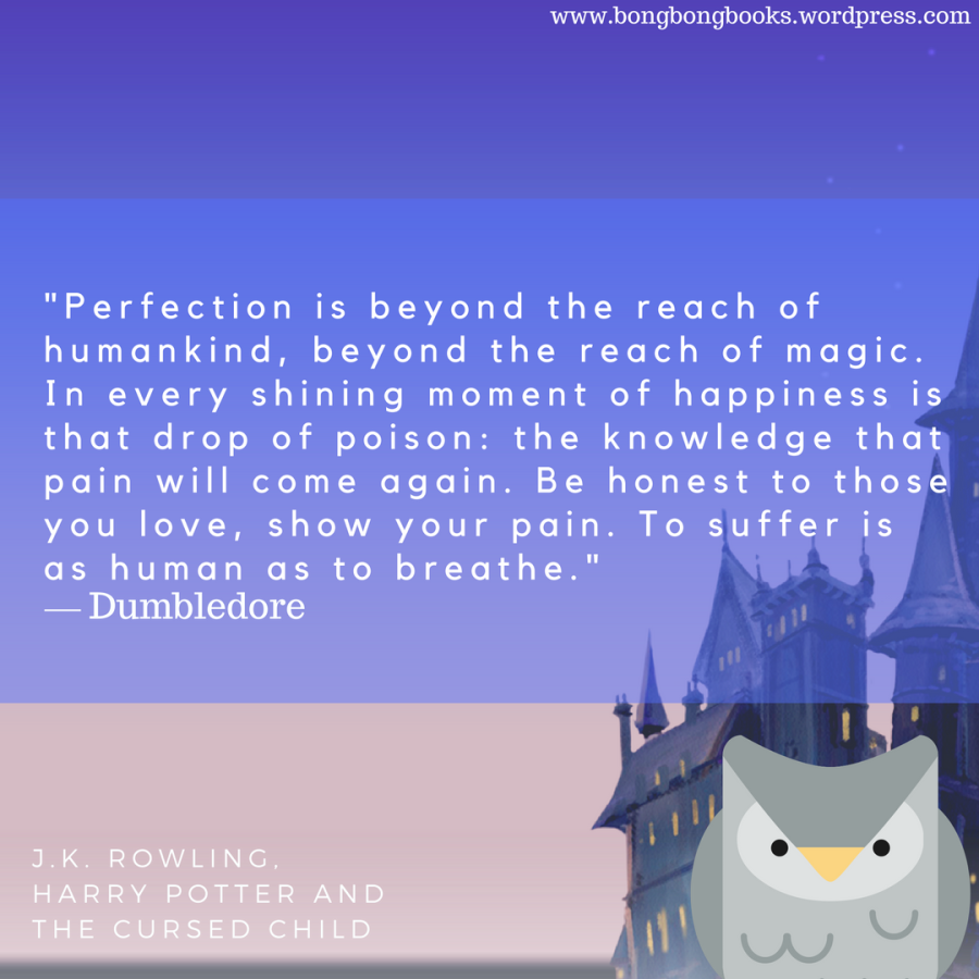 Book Blog Feature 9 Book Quotes  from Harry  Potter  and 